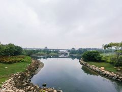 -宝安西湾红树林湿地公园