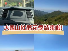 -大围山国家森林公园