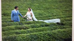 点击看大图 -杭州金夫人婚纱摄影(富阳私享店)