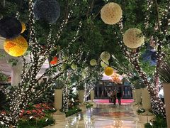 -拉斯维加斯永利酒店