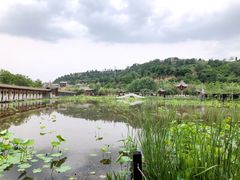 -渭南桃花源民俗文化园