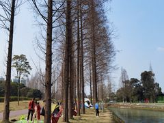 -蜀绣公园