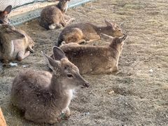 -贵安欢乐世界