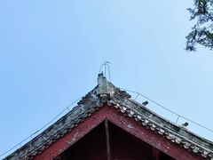 -洛阳白马寺