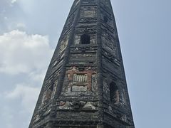 -上海佘山国家森林公园天马山园