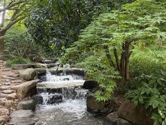 -中国茶叶博物馆(双峰馆区)