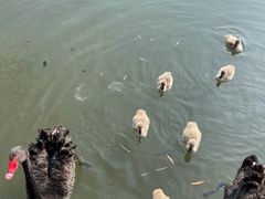 -长兴太湖图影湿地文化园