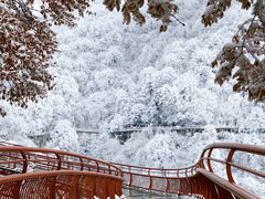 -少华山国家森林公园