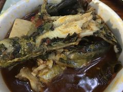 -金海椒罐罐鲢鱼(东方桂苑店)