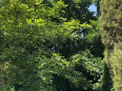 -大嶝英雄三岛战地观光园