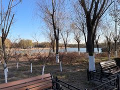 -大兴滨河森林公园