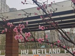 -沐仙湖湿地公园