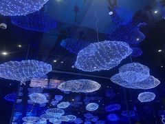 -盒马X会员店(上海森兰商都店)