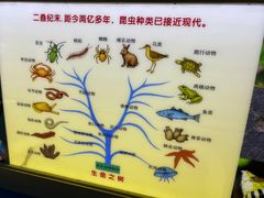 -上海昆虫博物馆