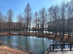 -梁鸿国家湿地公园