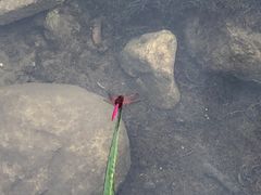 -武汉姚家山旅游景区
