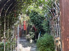 -水岸居湖景农家乐·阳澄湖大闸蟹