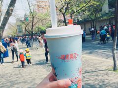 -鸡鸣赐茶(鸡鸣寺路店)