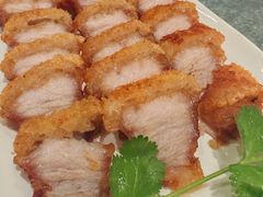 一品脆皮烧肉-一品美食城(石碣序伦小学店)