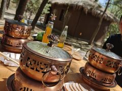 -南宫五洲植物乐园