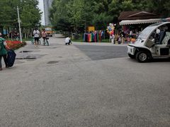 -长白岛森林公园