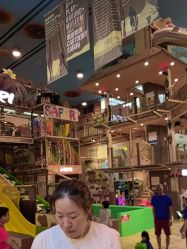 -卡通尼·Safari非洲探索乐园·生日会(金桥国际商业广场店)