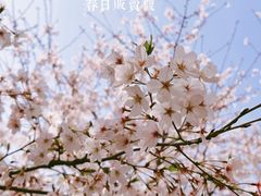 -龙美术馆(西岸馆)