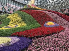 -花之城