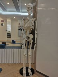 -悠伊瑜伽·孕产·普拉提