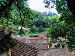 -杨家堂村
