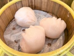 -东方早茶 海鲜•青岛菜(国信体育中心店)