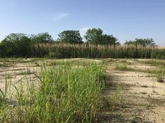 -千龙湖生态旅游度假区