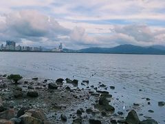 -深圳湾公园(南山区)