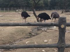 -西安秦岭野生动物园