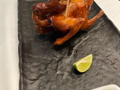 -侨美·唐荔园·40年地道粤菜