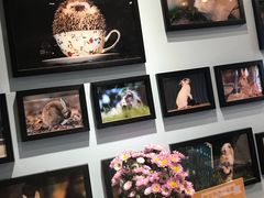 -藦茜花园宠物主题亲子互动体验馆(国顺东路店)