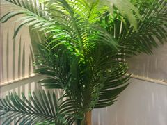 -必胜客(东营万达店)