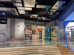 -上海金逸影城(静安大悦城店（原新恒星影城）)