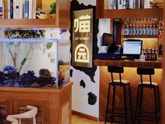 -喵园·猫主题咖啡厅·撸猫·猫咖(国贸店)