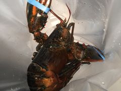 -盒马鲜生(曜一城店)