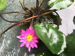-台山颐和温泉城
