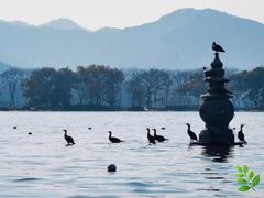 -西湖游船