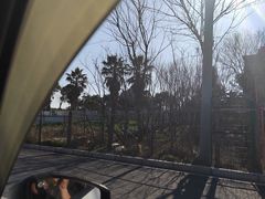 -安飞驰驾校·学车连锁(金高店)