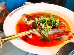 -坛宗剁椒鱼头(河西王府井店)