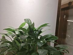 -六泰居·尔滨地标·东北菜(黄河路店)