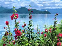 -丽江泸沽湖景区