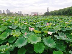 -云洞岩风景区