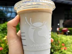 瓦尔登蓝椰拿铁-瑞幸咖啡(共和世家财院路店)