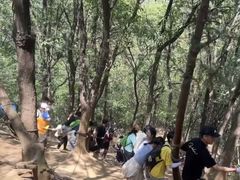 -灵岩山风景区