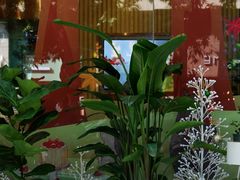 -小西家作(富力爱丁堡店)